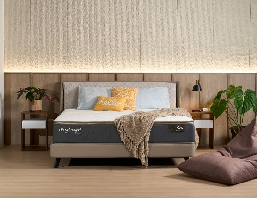 Bedroom Package: Slant Bed Frame with Removable Quilted Cushion